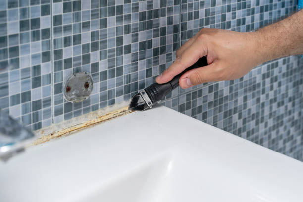 Best Black Mold Removal  in Port Allegany, PA